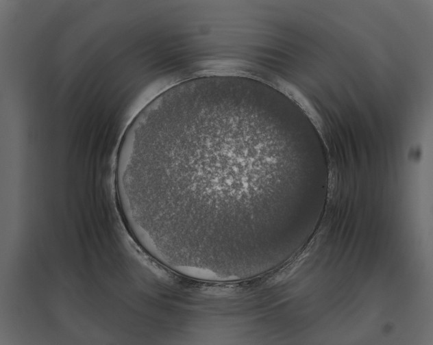 X0000097001386200803071107