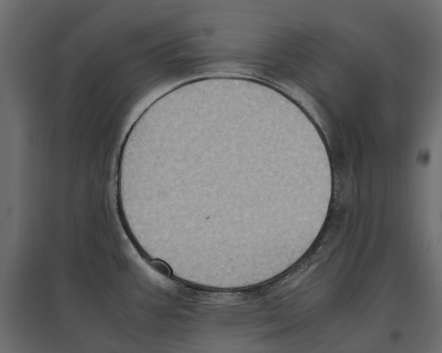 X0000097001387200803071107