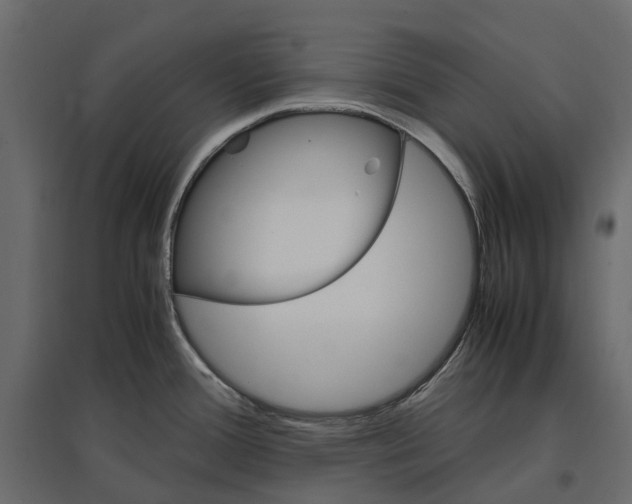 X0000097001388200803071107