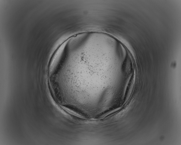 X0000097001389200803071107