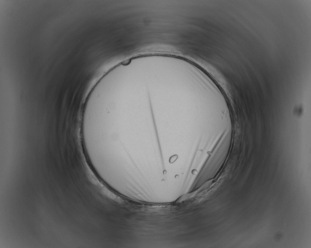 X0000097001390200803071107