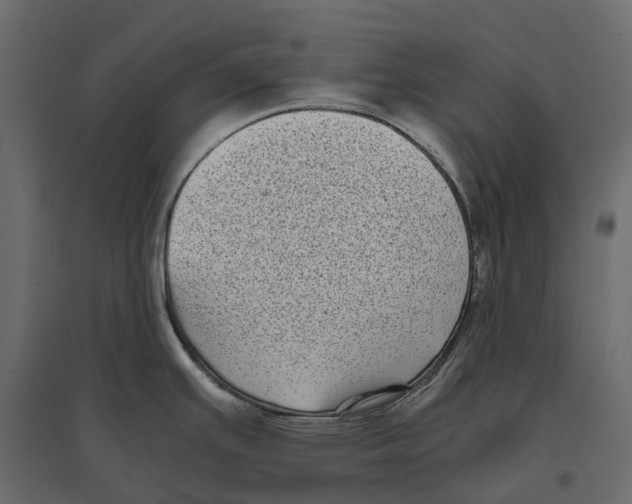 X0000097001391200803071107