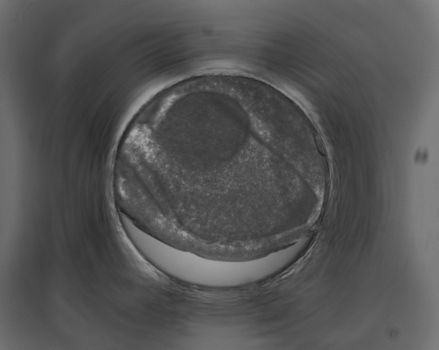 X0000097001392200803071107