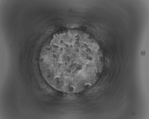 X0000097001393200803071106