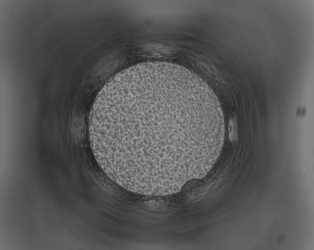 X0000097001395200803071106