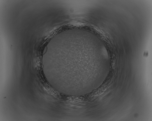 X0000097001397200803071106