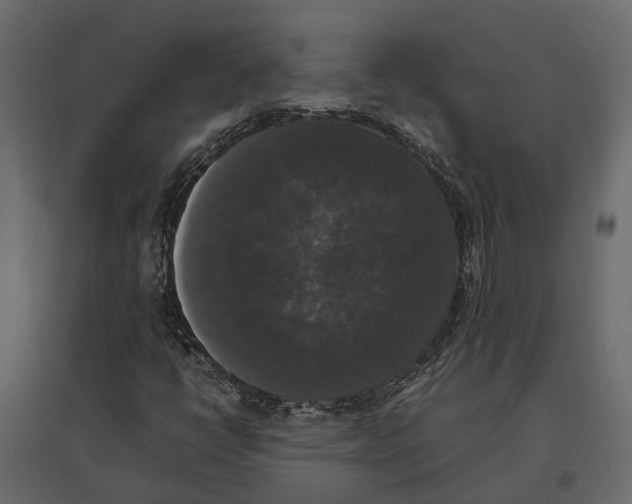 X0000097001398200803071106