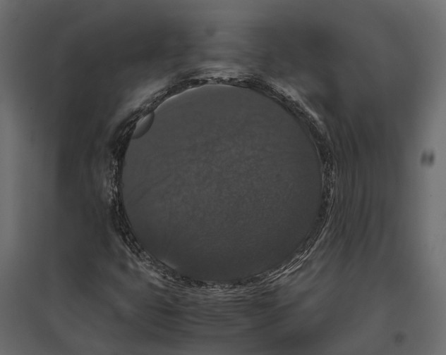 X0000097001399200803071106