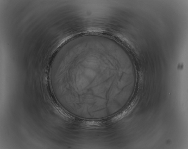 X0000097001401200803071106