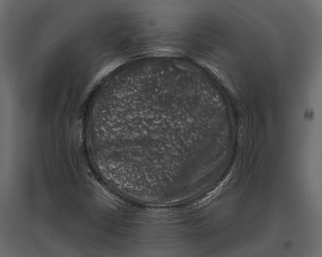 X0000097001402200803071106