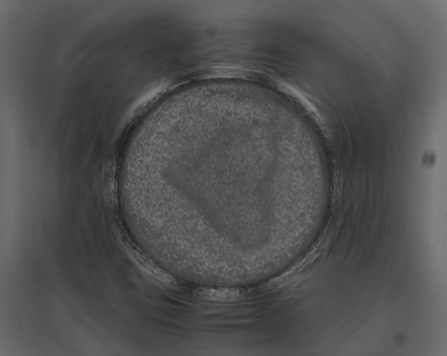 X0000097001403200803071106