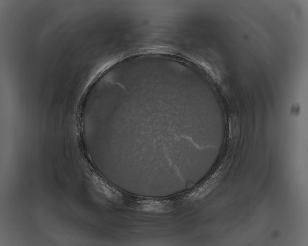 X0000097001405200803071106