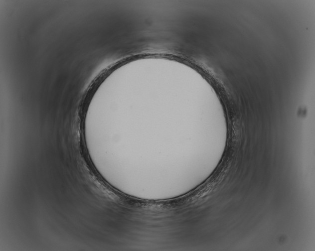 X0000097001408200803071106