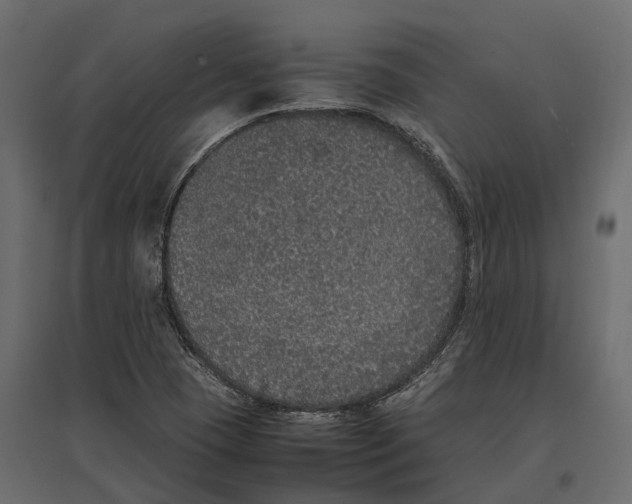 X0000097001409200803071106