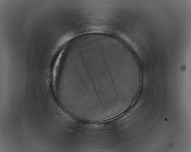 X0000097001411200803071106