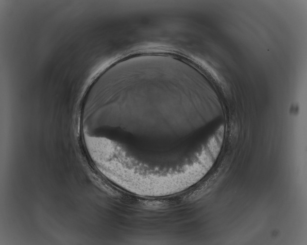 X0000097001413200803071106