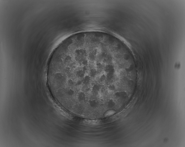 X0000097001415200803071106