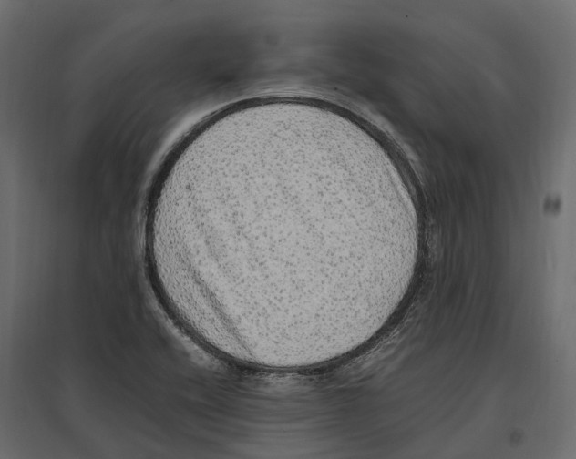 X0000097001416200803071106