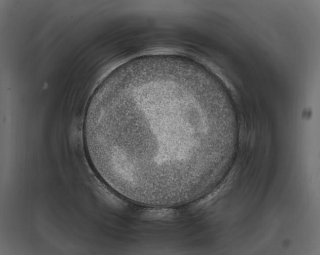 X0000097001417200803071106