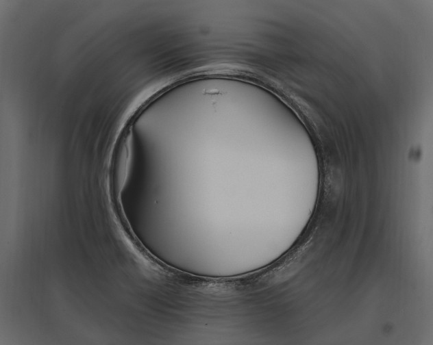 X0000097001418200803071106