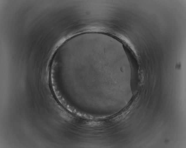 X0000097001419200803071106