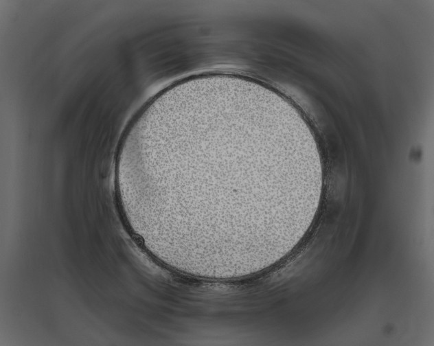 X0000097001420200803071106