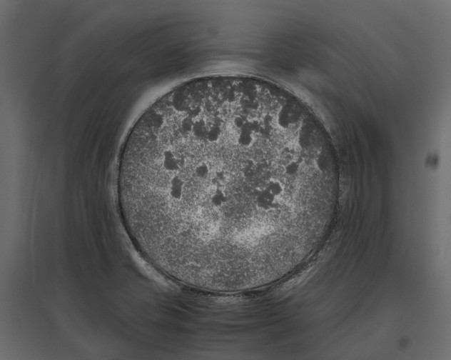 X0000097001421200803071106