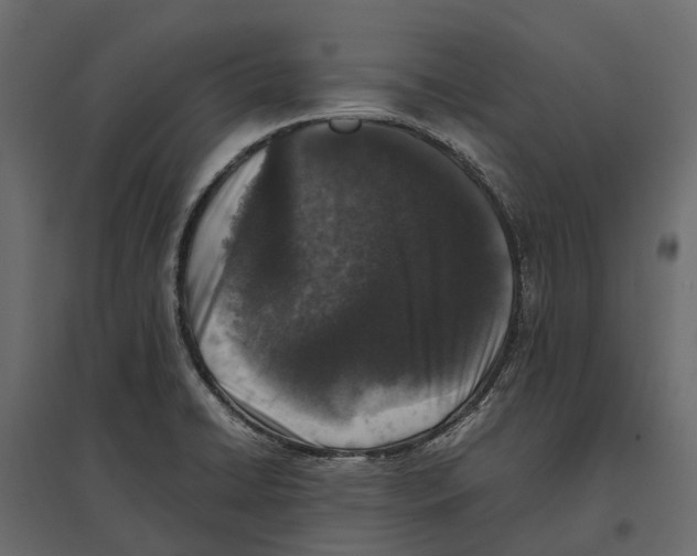 X0000097001422200803071106