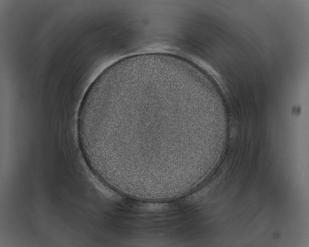 X0000097001423200803071106