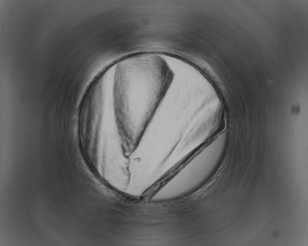 X0000097001424200803071106