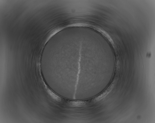 X0000097001425200803071106