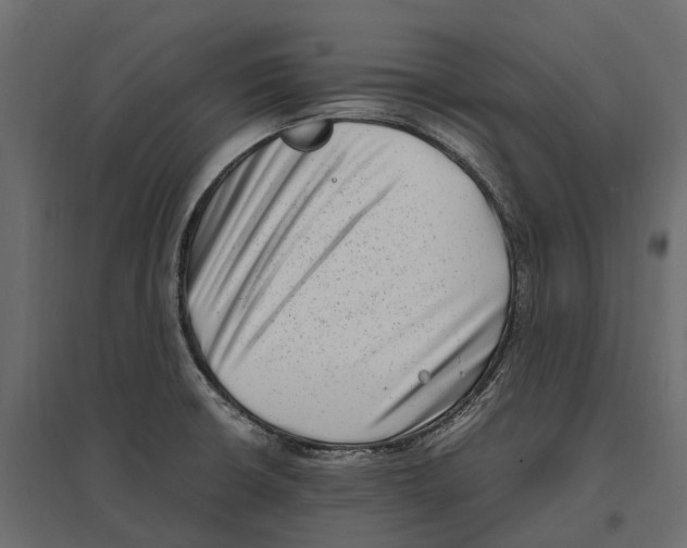 X0000097001426200803071106