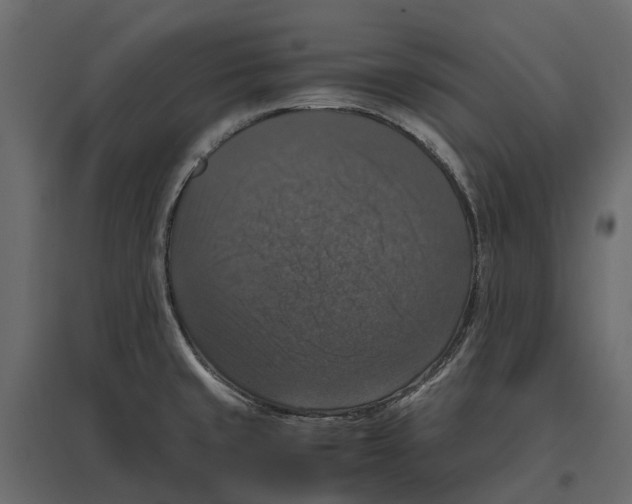 X0000097001429200803071107