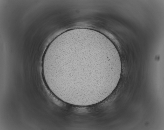 X0000097001431200803071107