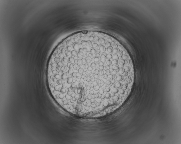 X0000097001432200803071107