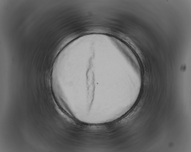 X0000097001433200803071107