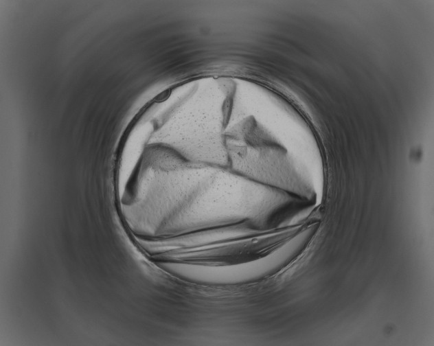 X0000097001434200803071107