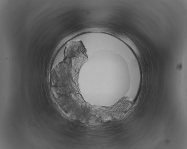 X0000097001436200803071107