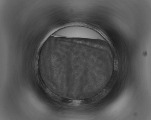 X0000097001438200803071107