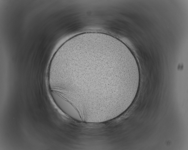 X0000097001440200803071107