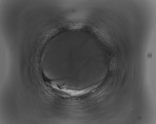 X0000097001441200803071106