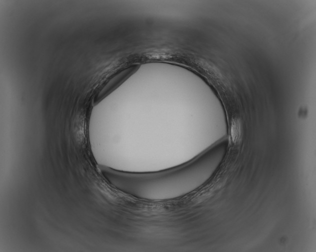 X0000097001444200803071106