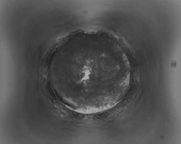 X0000097001445200803071106