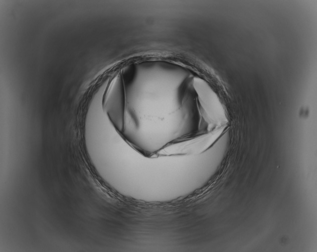 X0000097001448200803071106