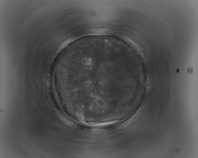 X0000097001449200803071106