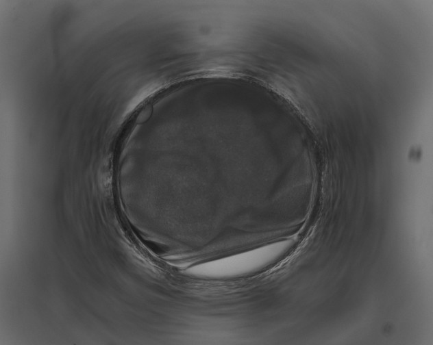 X0000097001450200803071106