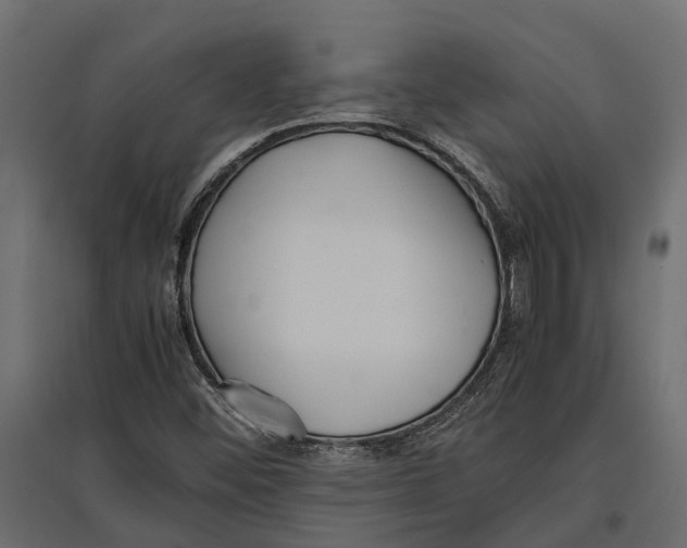 X0000097001452200803071106