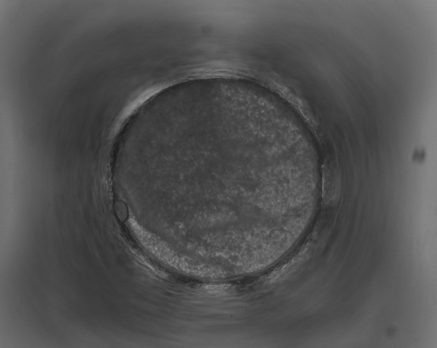 X0000097001453200803071106