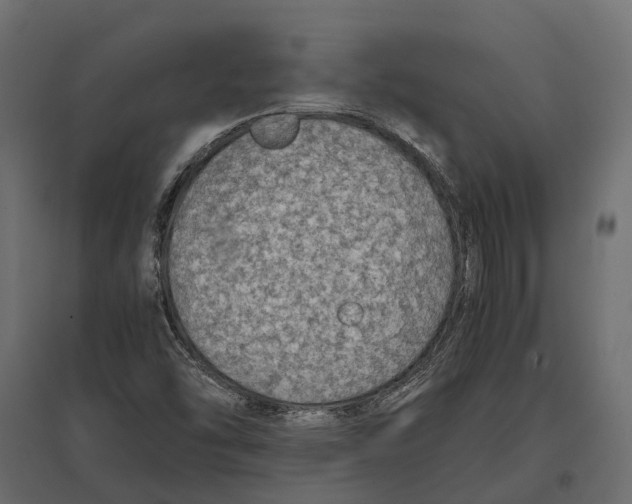 X0000097001454200803071106