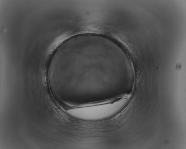 X0000097001455200803071106